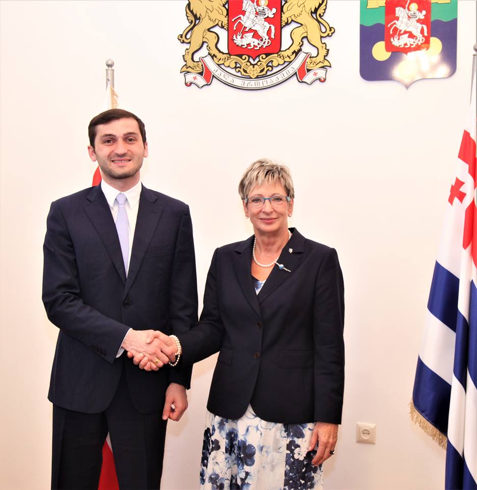 თორნიკე რიჟვაძე ჩეხეთის მრეწველობისა და ვაჭრობის მინისტრს შეხვდა