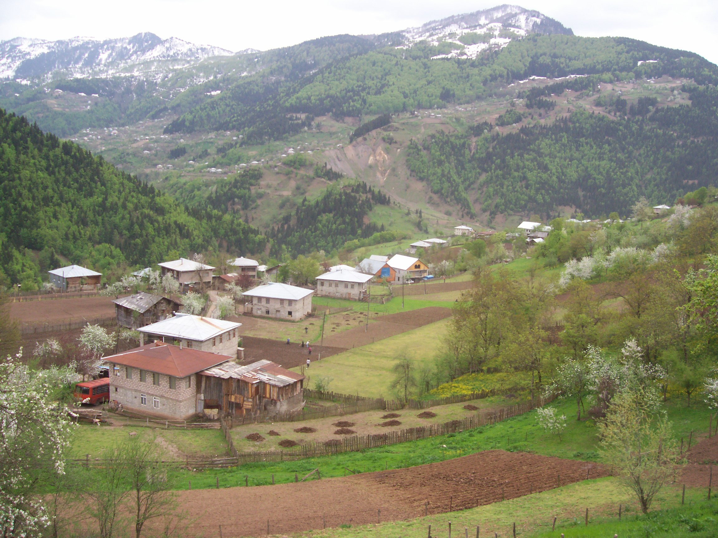 თარანგელოს გორზე სამლოცველოს აღადგენენ
