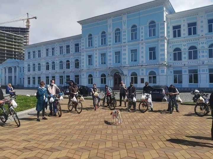 დაბადების დღისთვის გამოყოფილი თანხით 320–მდე მიუსაფარი ცხოველი დაპურდა