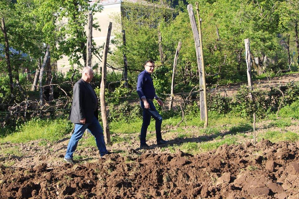 მთავრობა გლეხებს მიწების დახვნაში დაეხმარება