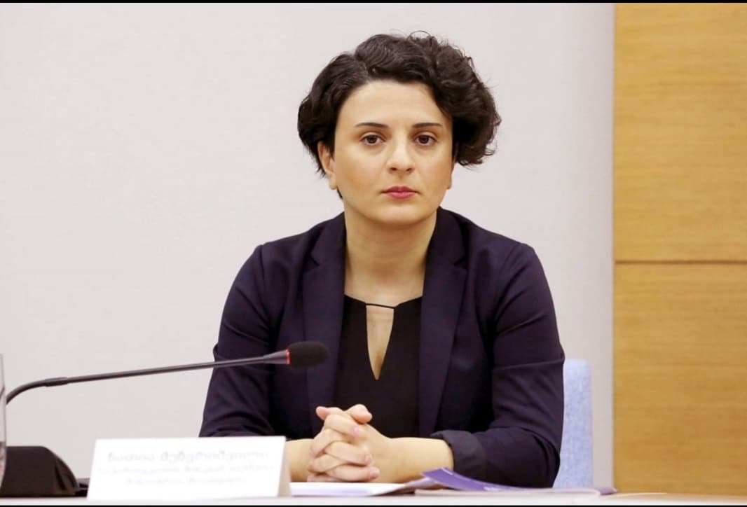 მილიონი დოლარი – მოწყვლადი ჯგუფების დასაცავად