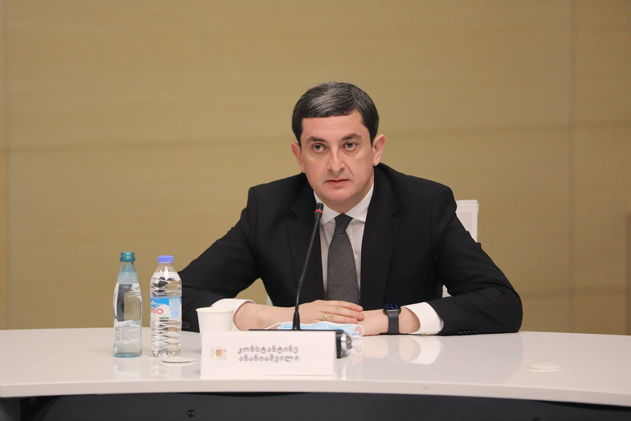 კონსტანტინე ანანიაშვილი მთავრობის ადმინისტრაციის რეგიონული პოლიტიკისა და კოორდინაციის სამსახურის უფროსად დაინიშნა