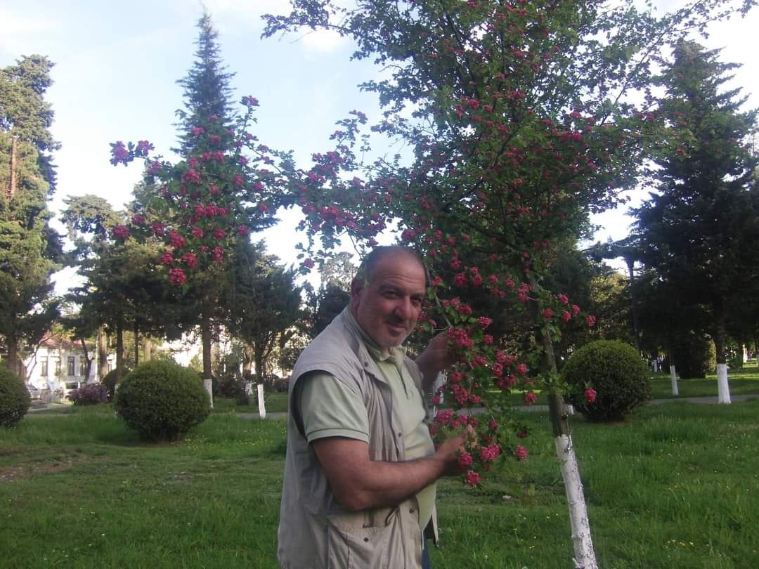 კაცი, რომელიც ბუნების წიგნს კითხულობს