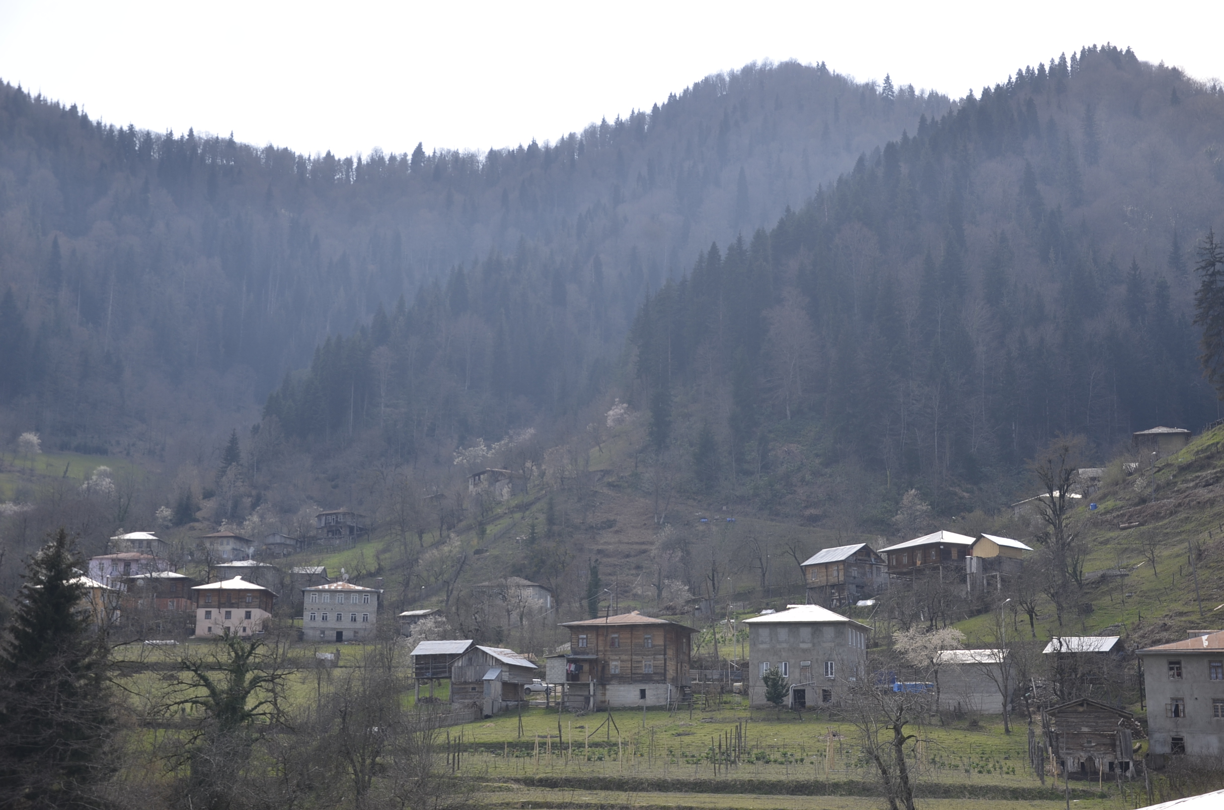 დაბაძველი არ ძველდება