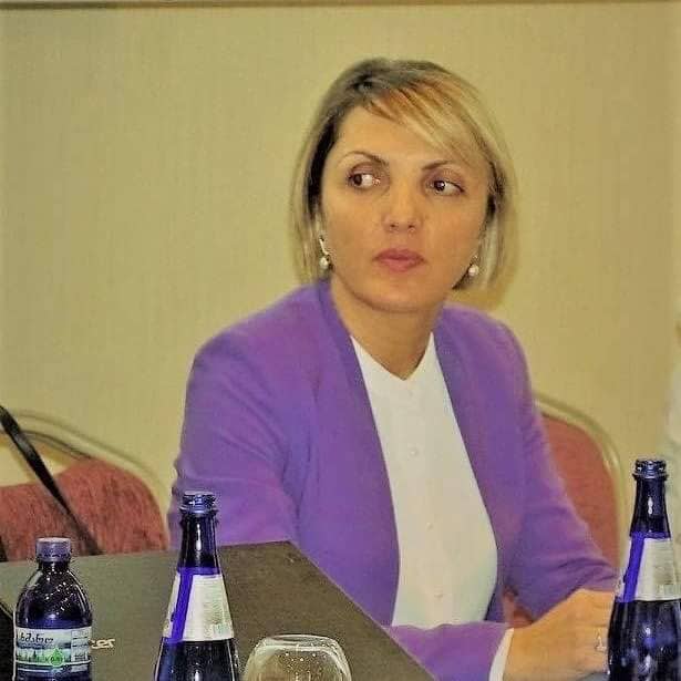 უშვილობის დიაგნოსტიკისა და მკურნალობის ქვეპროგრამის განხორციელება იწყება