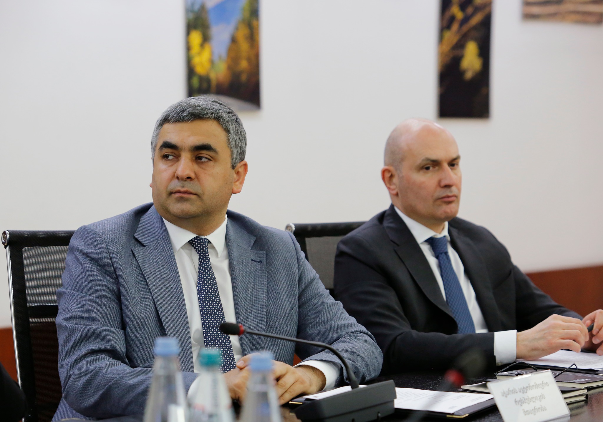 ზაზა შავაძე კლიმატის ცვლილებების საბჭოს სხდომას დაესწრო