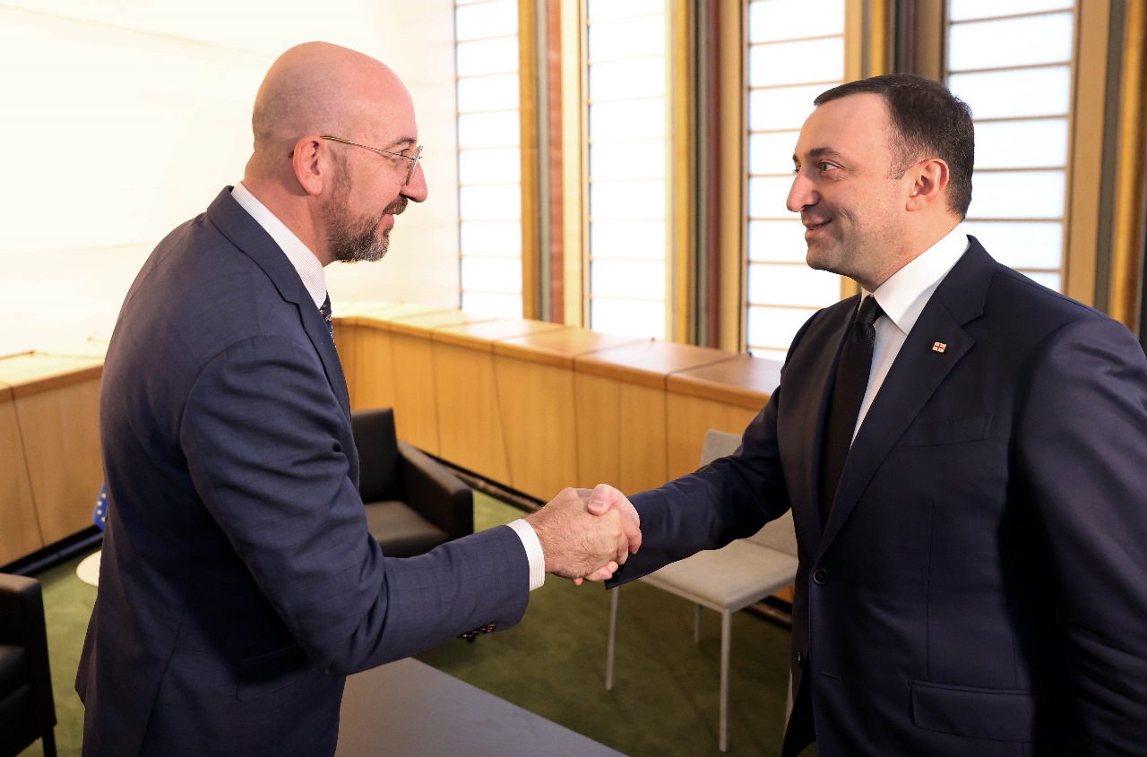 პრემიერი შარლ მიშელს და დერეკ შოლეს შეხვდა