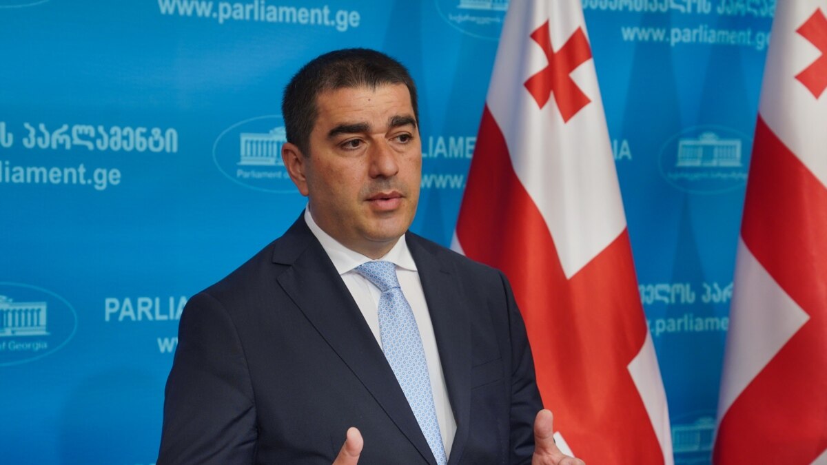 ,,სალომე ზურაბიშვილს არ აქვს არანაირი ლეგიტიმაცია, რომ ქართველი ხალხის სახელით ისაუბროს”