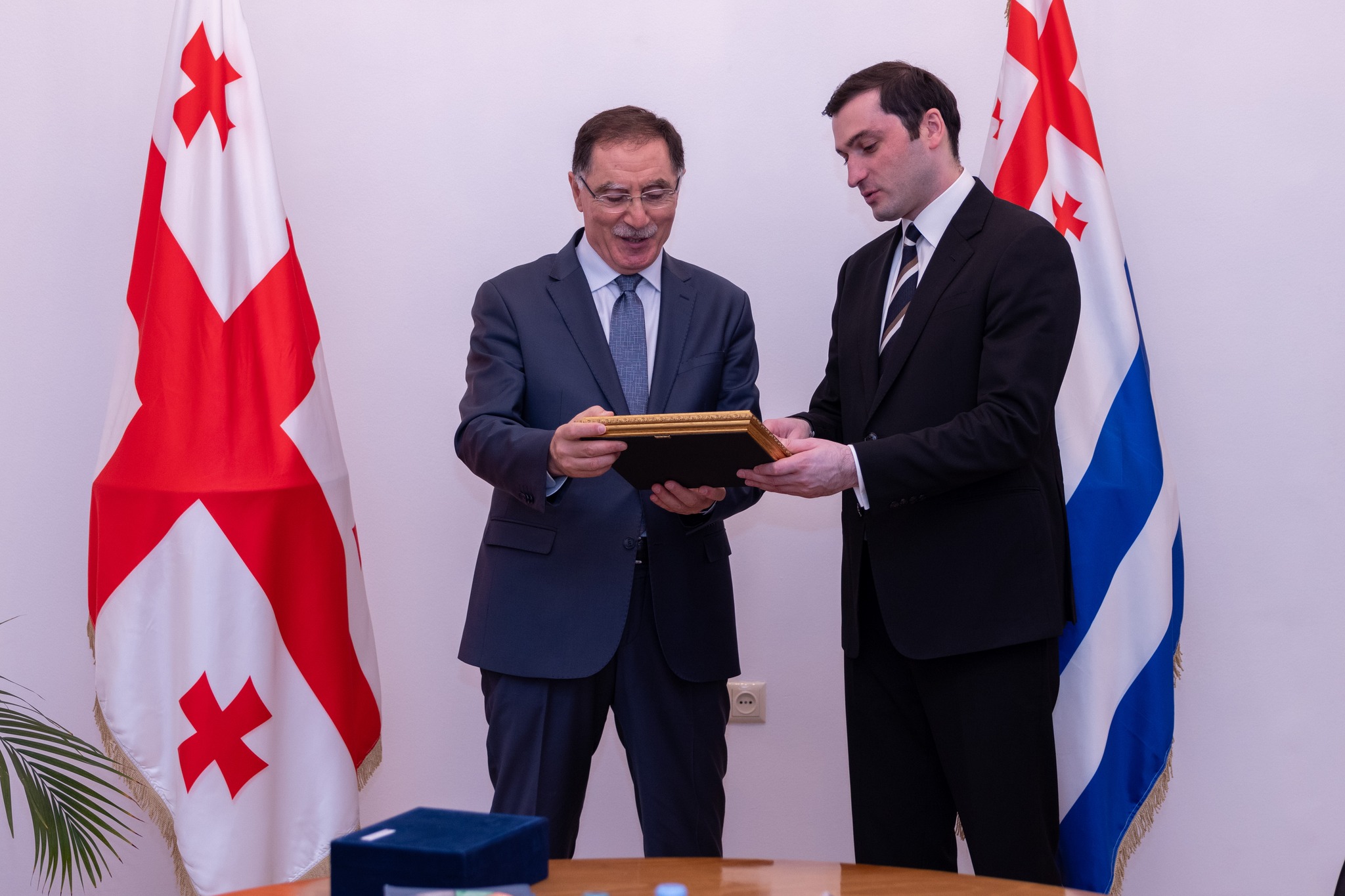 შეხვედრა თურქეთის მთავარ ომბუდსმენთან