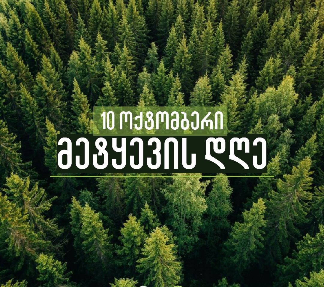 მეტყევის დღე – ტყე სიცოცხლის წყაროა