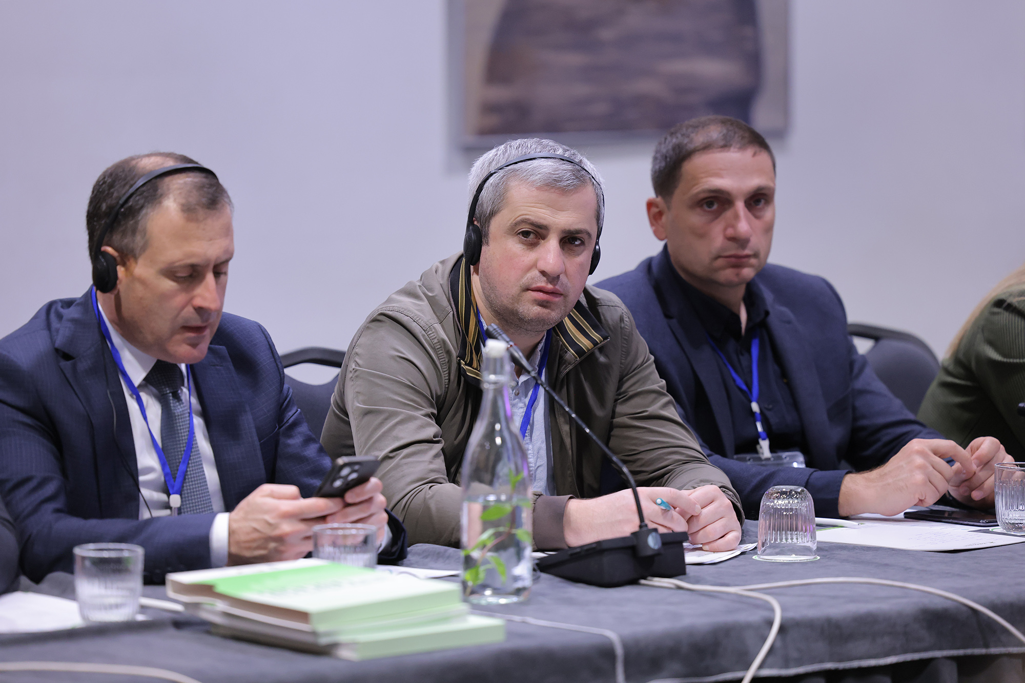 სამხრეთ კავკასიაში ეკოკორიდორების პროგრამის პროგრესი განიხილეს