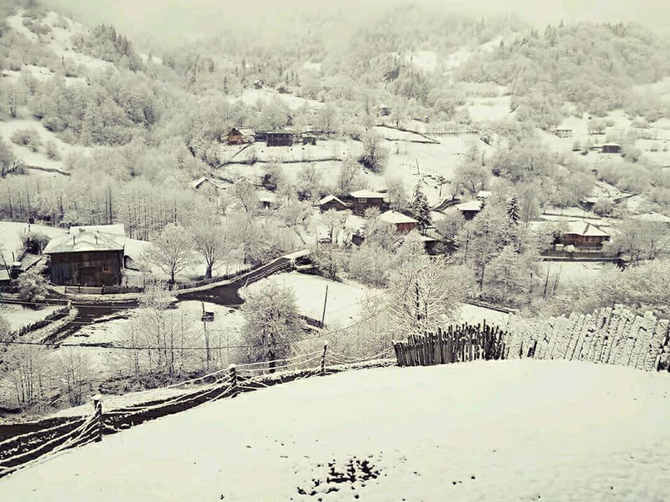 დილიდან მაღალმთიან აჭარაში ინტენსიურად თოვს
