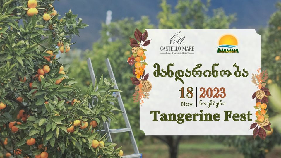 ფესტივალი – ,,მანდარინობა 2023”
