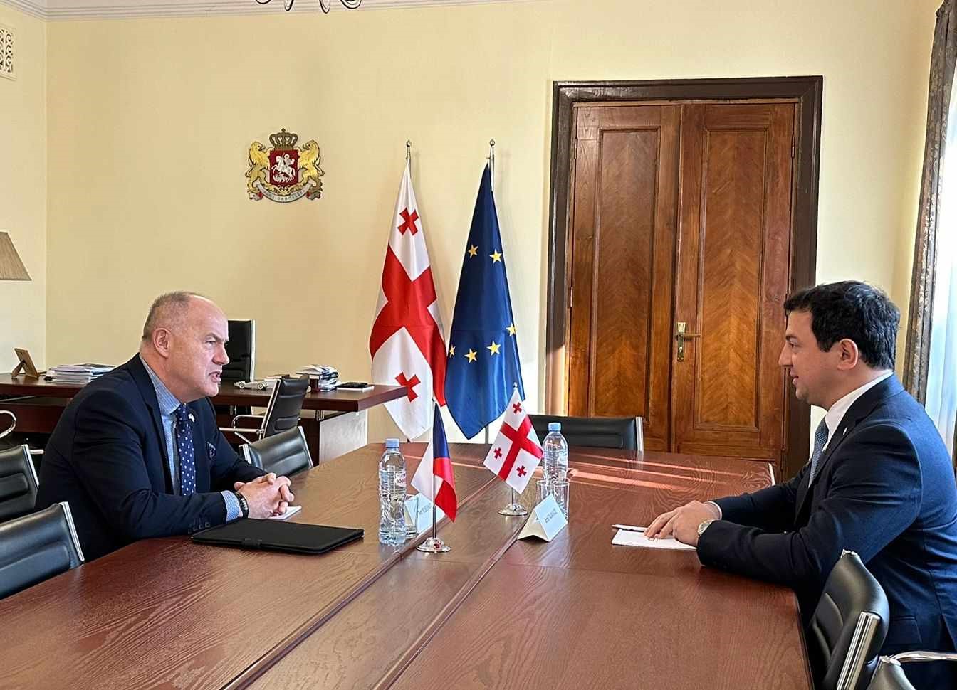 არჩილ თალაკვაძე საქართველოში ჩეხეთის რესპუბლიკის საგანგებო და სრულუფლებიან ელჩ პეტრ კუბერნატს შეხვდა