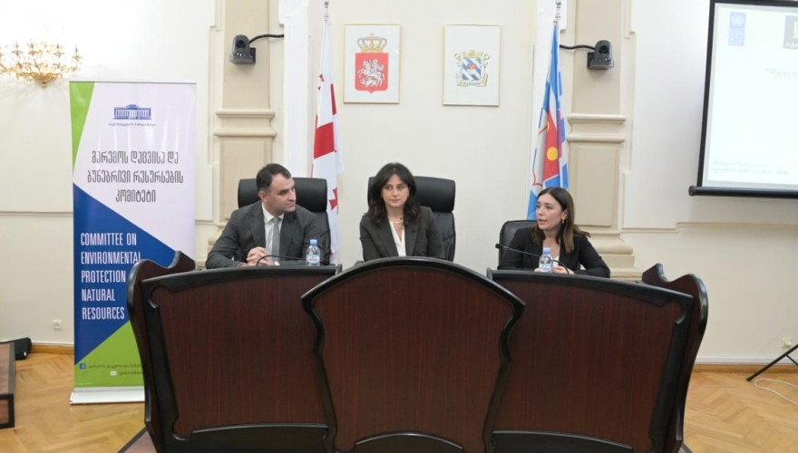 პარლამენტის კომიტეტის თავმჯდომარემ აჭარაში საინფორმაციო შეხვედრა გამართა