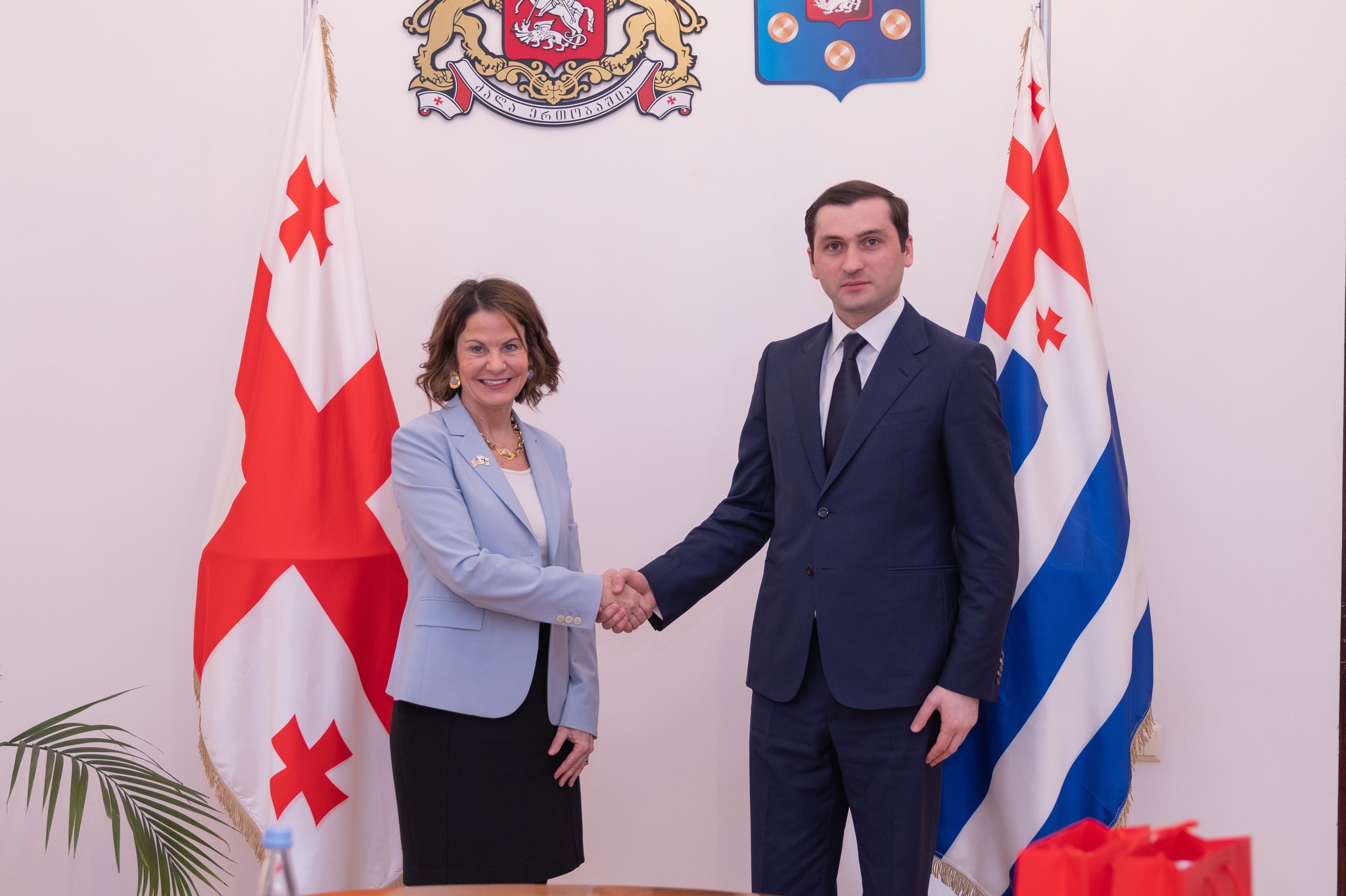 თორნიკე რიჟვაძე რობინ დანიგანს შეხვდა