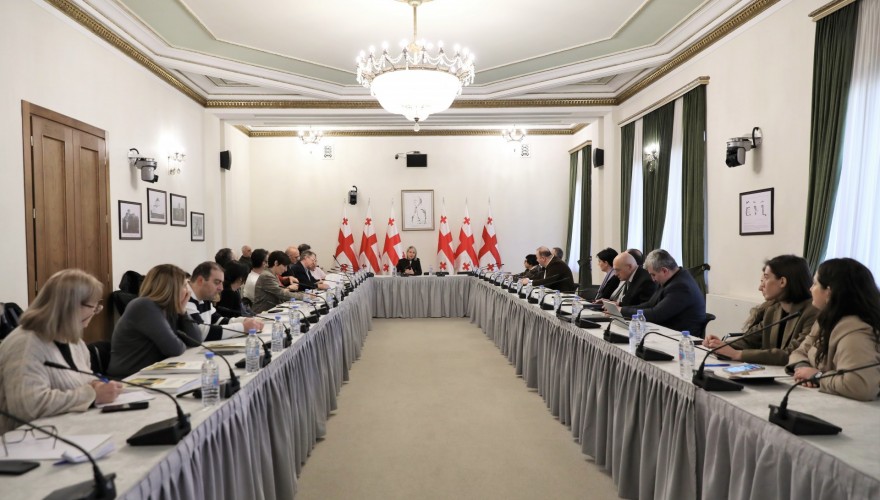 საკონსულტაციო საბჭოს სხდომაზე 2024 წლის სამოქმედო გეგმაზე იმსჯელეს
