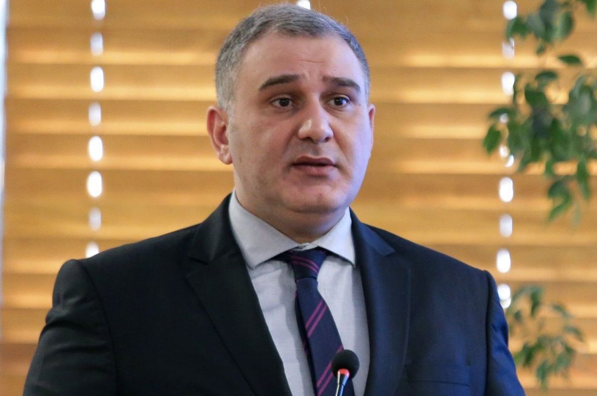 ახალი მინისტრი – მიხეილ სარჯველაძე