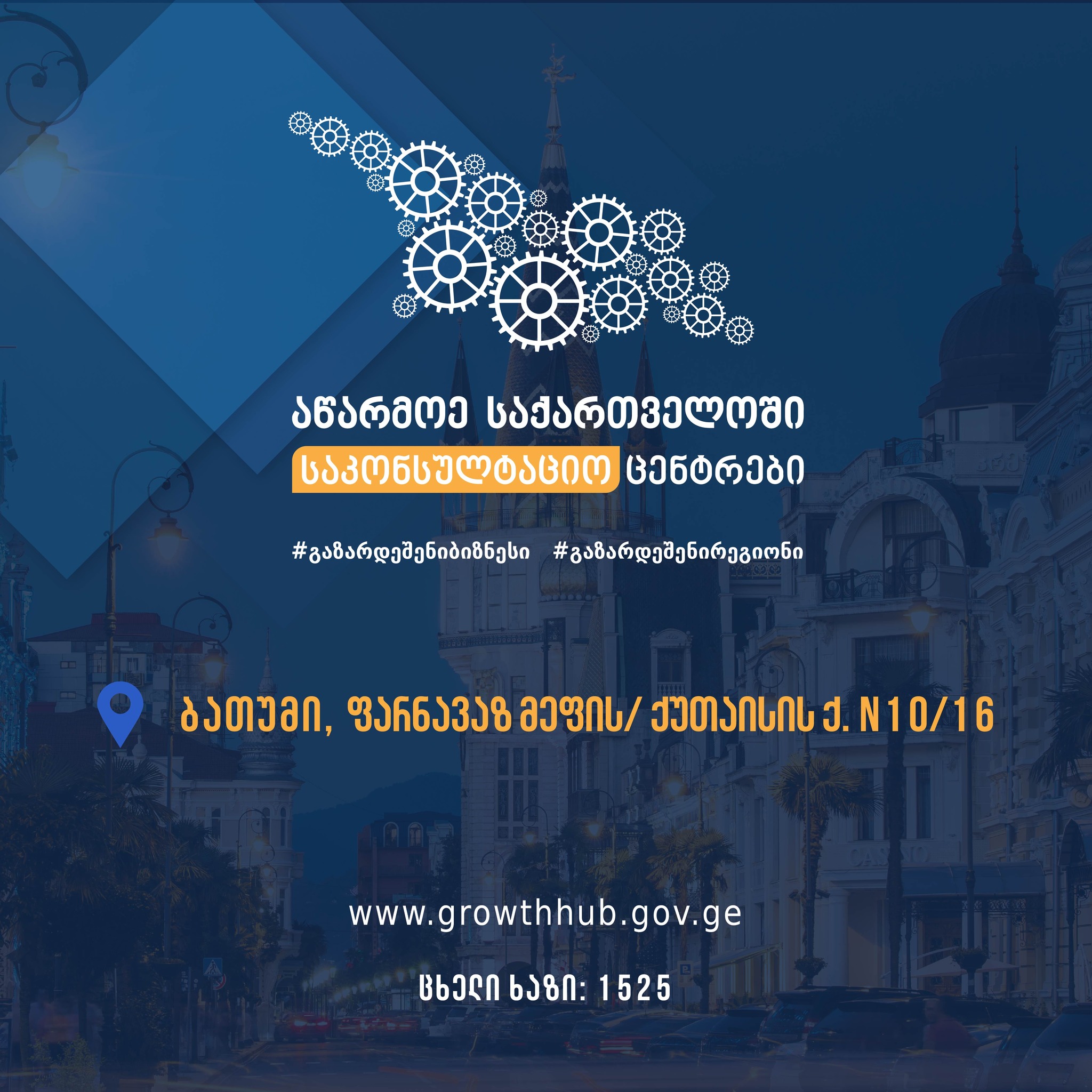 აჭარაში საკონსულტაციო ცენტრი გაიხსნა