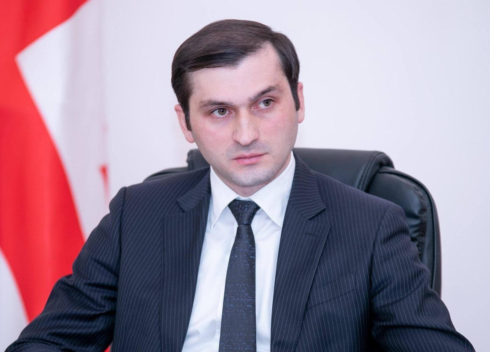 თორნიკე რიჟვაძე – პარტია “ახალის” შესახებ