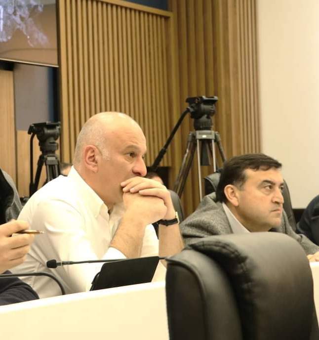 ნიკა მელიას პოლიტიკური გაერთიანების კონტურები