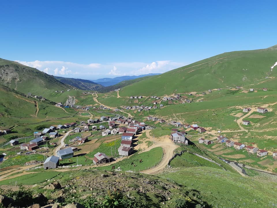 მეცხოველეებს უფასოდ მოემსახურებიან