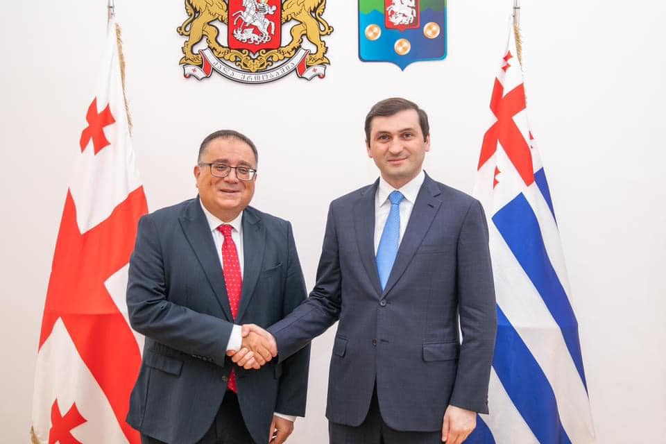 მთავრობის თავმჯდომარე რიზა ქაღან ილმაზს შეხვდა