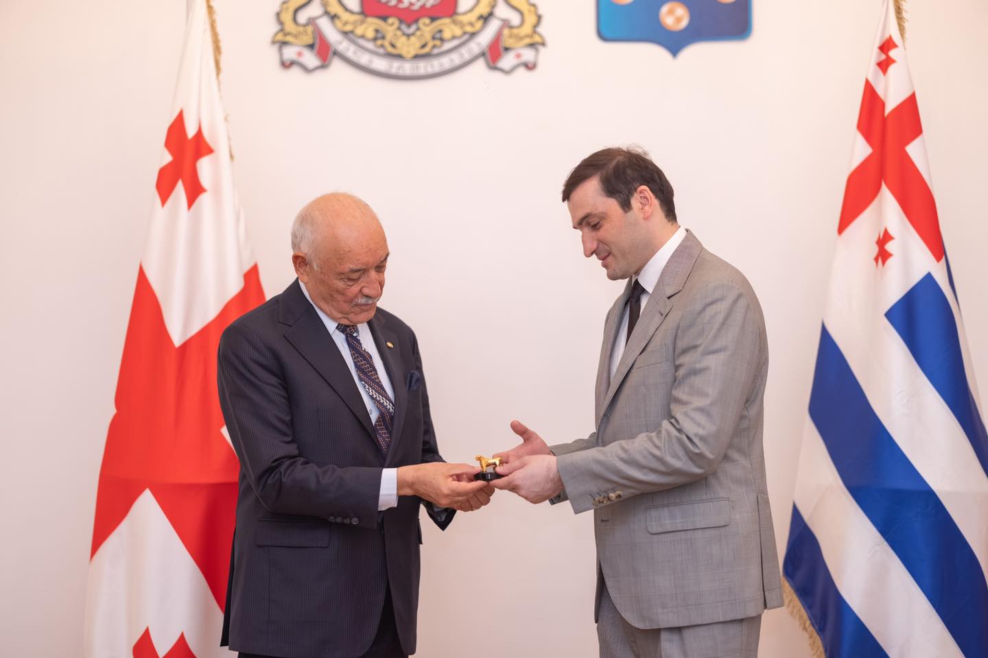 თორნიკე რიჟვაძე პარაგვაის ელჩს შეხვდა