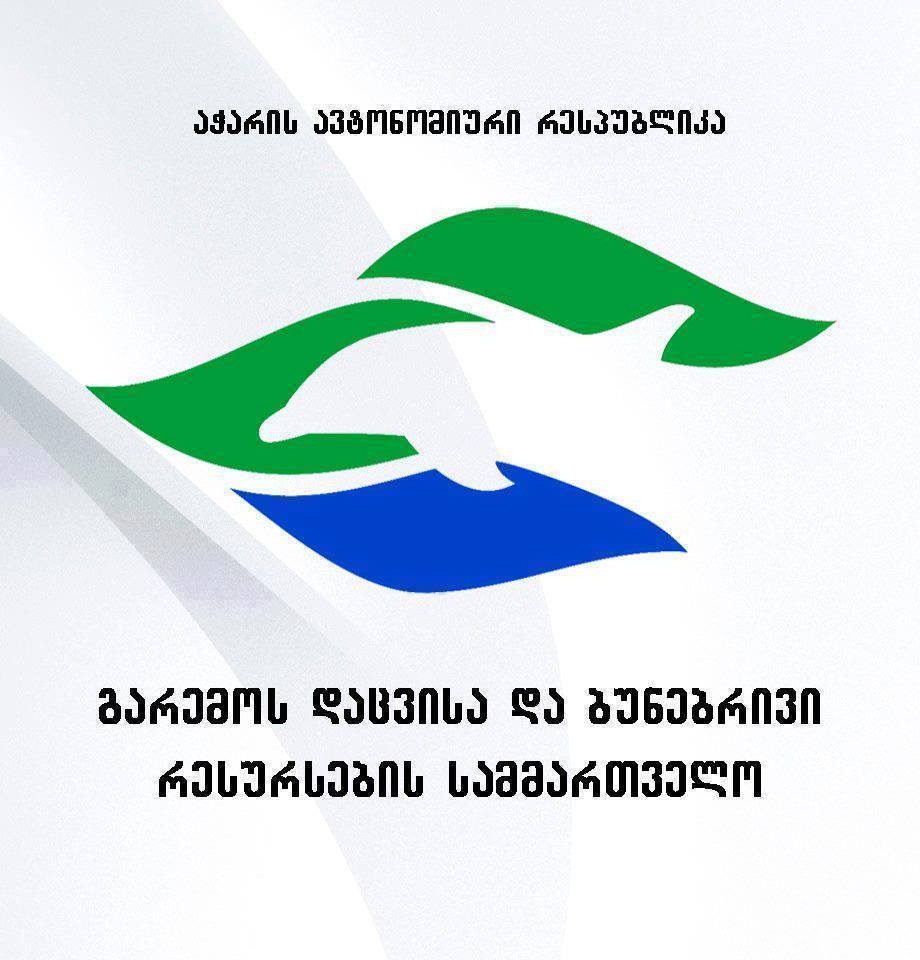 პრიორიტეტი – რესურსების ეფექტურად გამოყენება