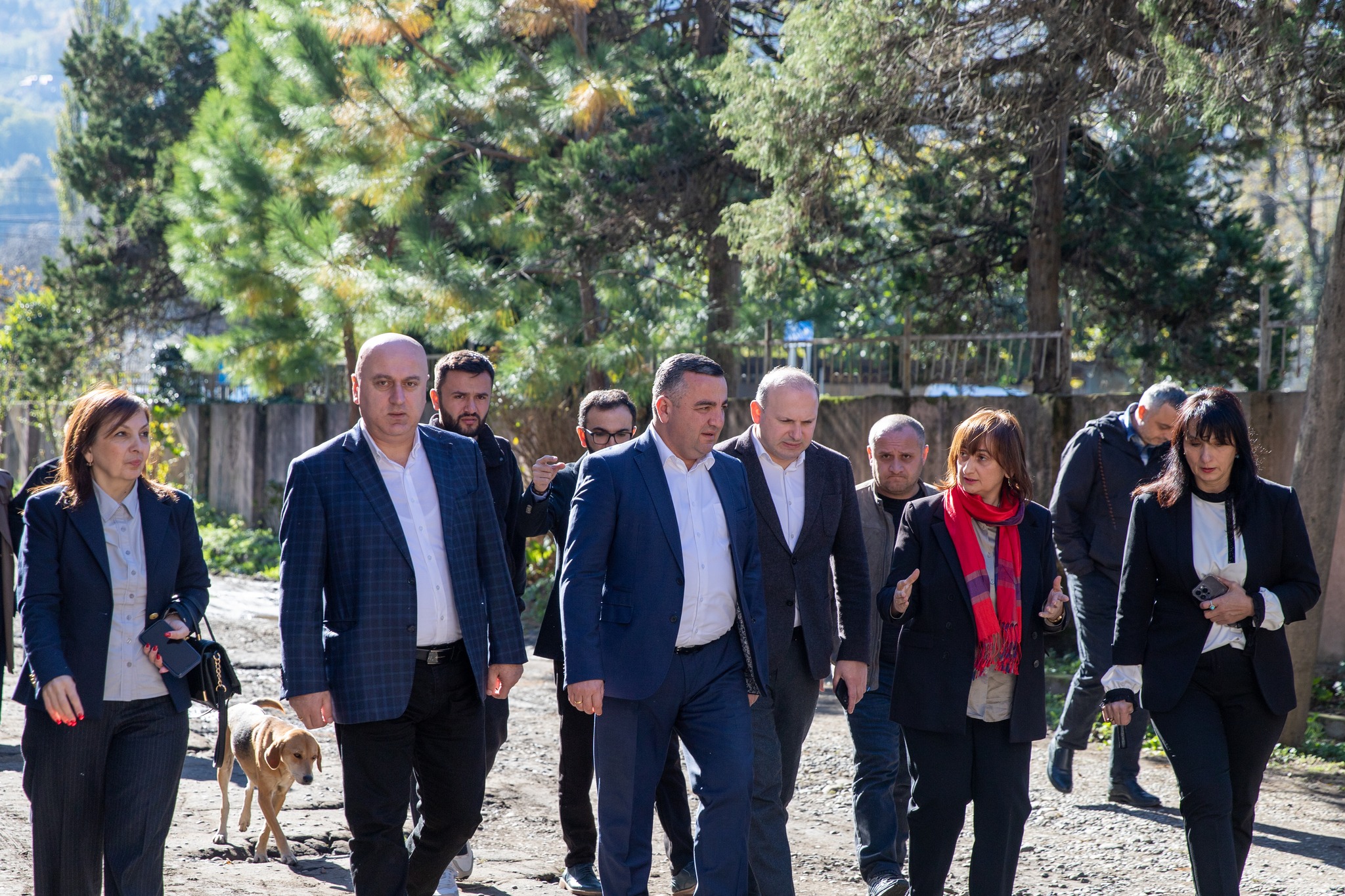 სოფელ ერგეს სკოლის რეაბილიტაცია დაიწყო