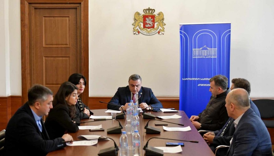 უფლებამოსილება ვადამდე ადრე ქართული ოცნების რვა დეპუტატს შეუწყდება