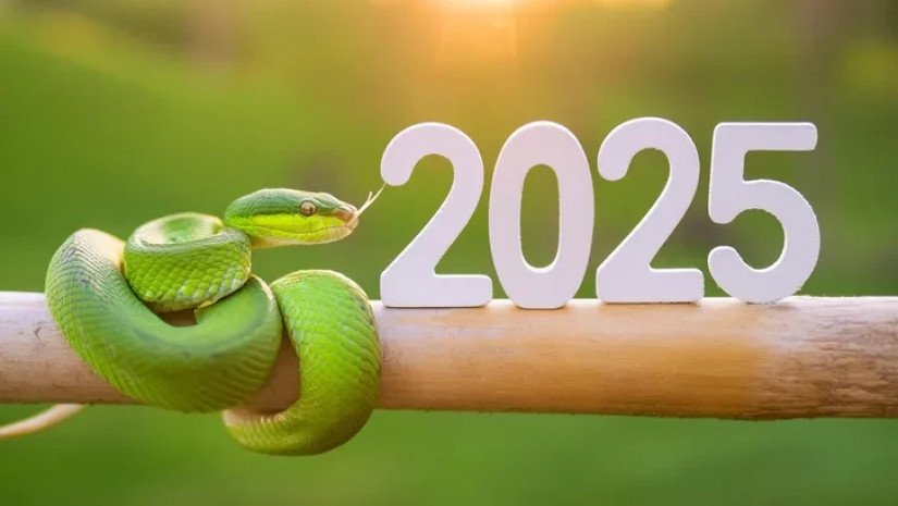 როგორ შევხვდეთ 2025 წელს?