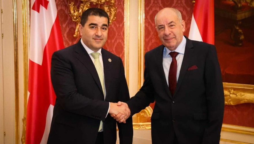 შალვა პაპუაშვილი უნგრეთის პრეზიდენტს შეხვდა