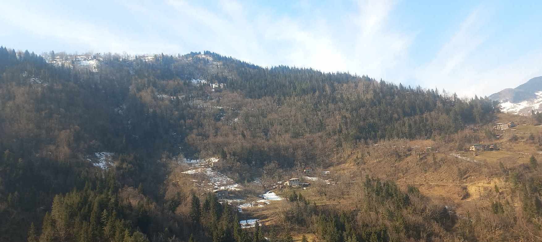ადგილის დედა