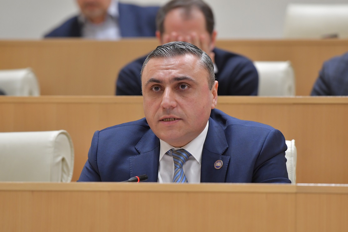 დავით მათიკაშვილი – კომიტეტმა იმსჯელა საქართველოს პარლამენტის 49 წევრის განცხადებაზე