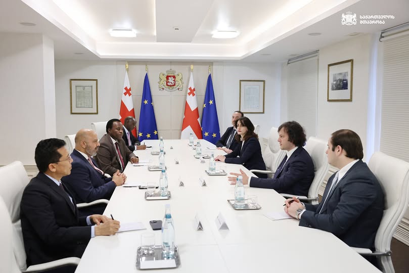 შეხვედრა გაეროსთან აკრედიტებული ელჩების დელეგაციასთან