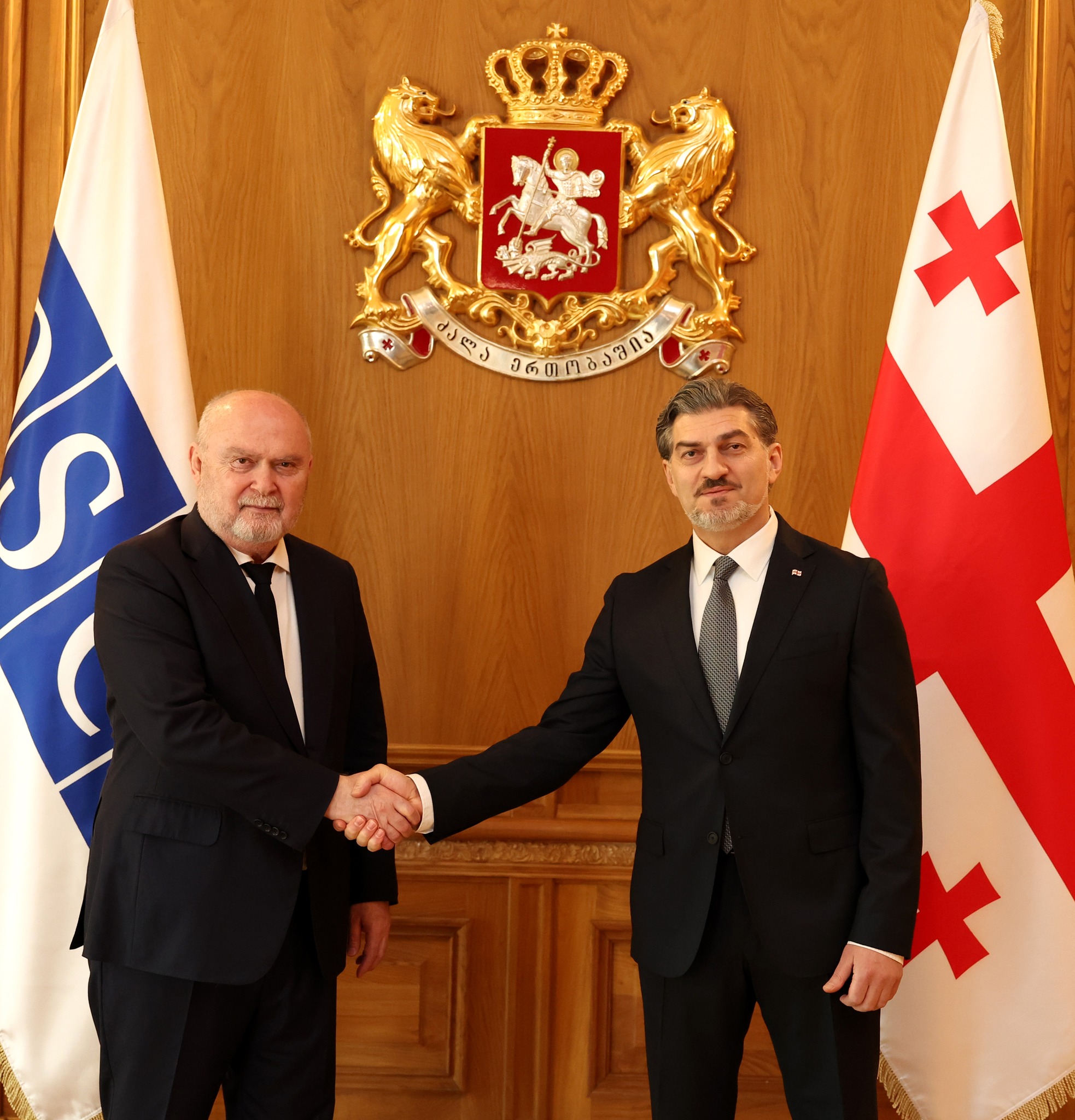 მიხეილ ყაველაშვილი ეუთოს გენერალურ მდივანს შეხვდა
