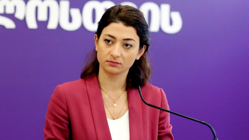 ანა ბუჩუკური – ჩვენ ვემზადებით საპარლამენტო არჩევნებისთვის