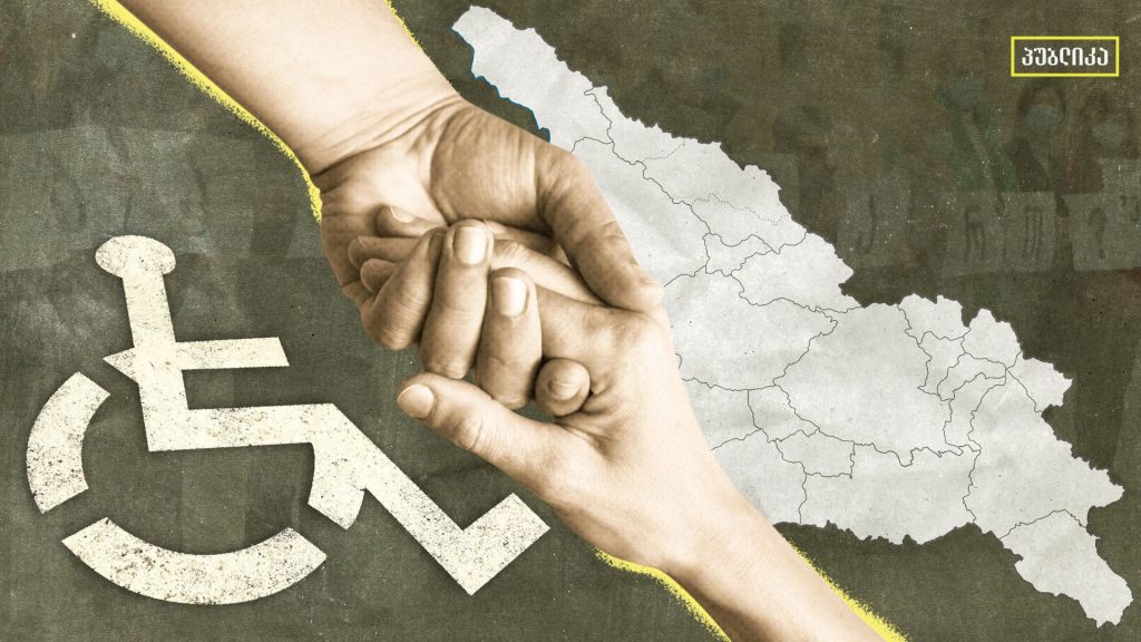 11 სოციალური ქვეპროგრამა – შესაბამისი სტატუსის ბენეფიციარებისთვის