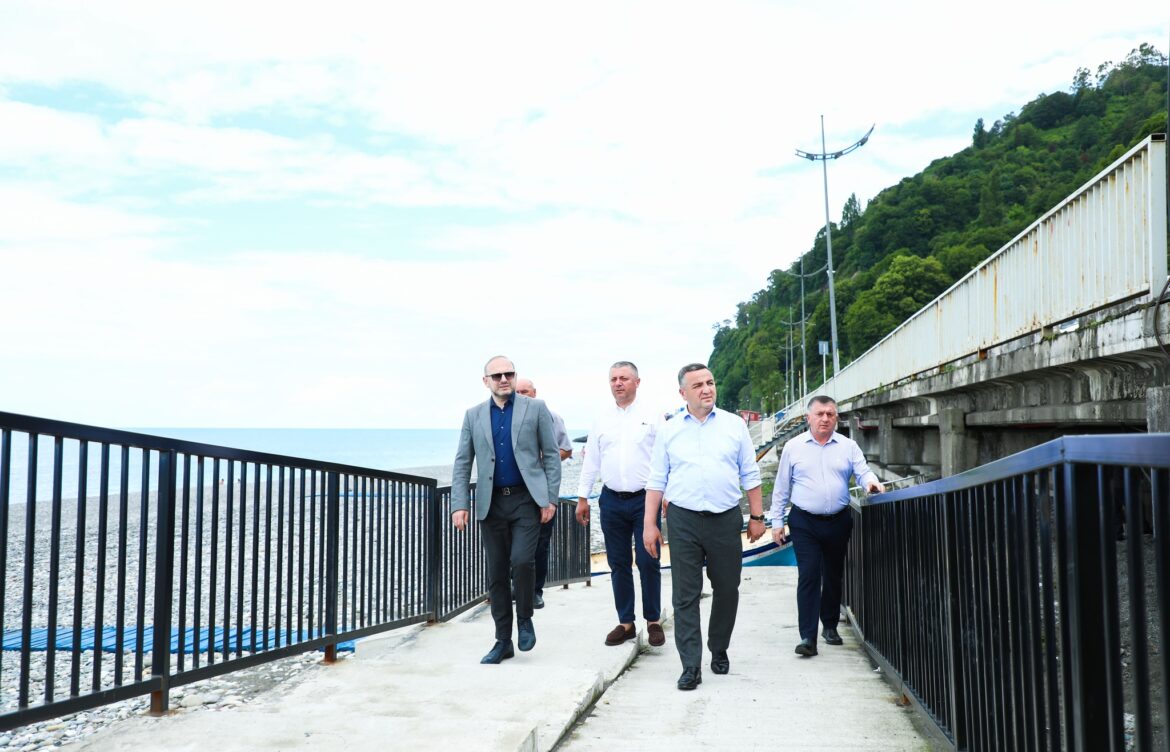 ინფრასტრუქტურულ პროექტებს გაეცნენ