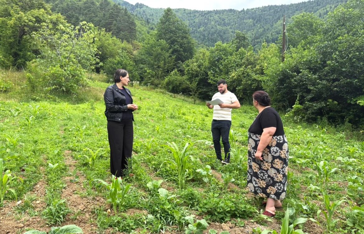 პროგრამის მეორე ეტაპი მიმდინარეობს