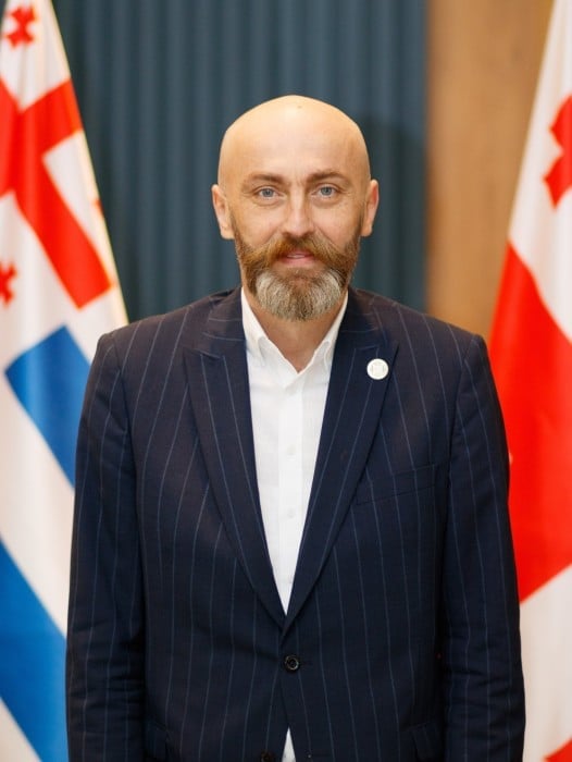დავით ბაციკაძე, მეორე ვადით, ევროპის რეგიონთა ასამბლეის ვიცე-პრეზიდენტია