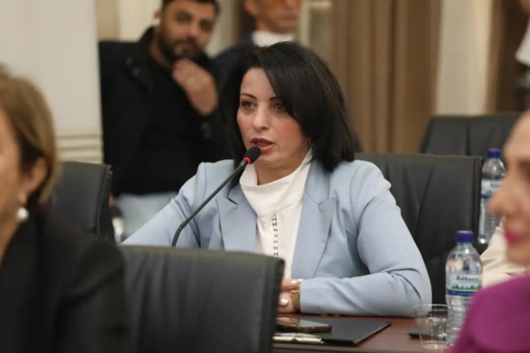 ნინო ცხვარაძე – ამ ქვეყანაში უნდა დასრულდეს სახელმწიფოს წინააღმდეგ მიზანმიმართული ქმედებები