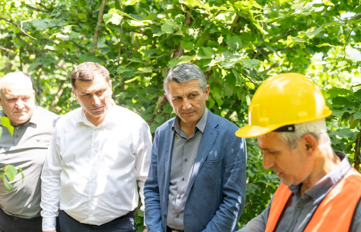 სარწყავი და დამშრობი არხების რეაბილიტაცია მიმდინარეობს