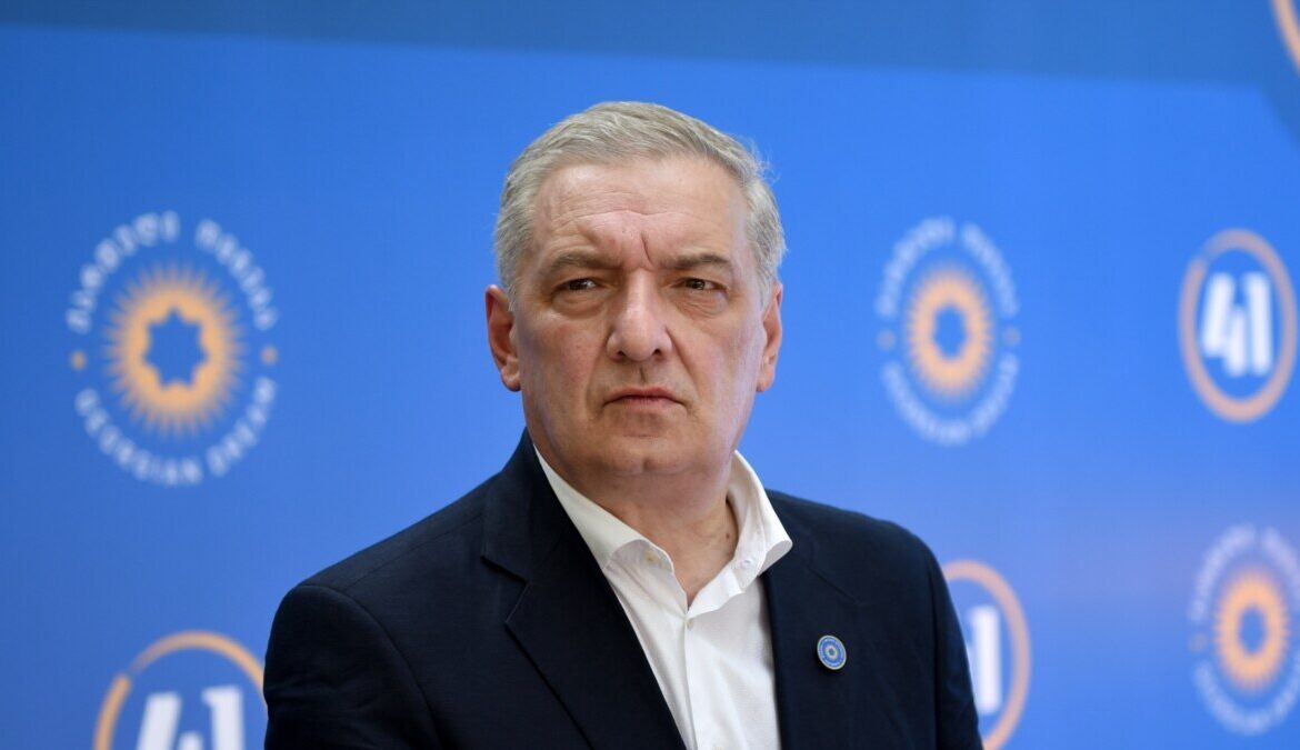 გიორგი ვოლსკი: ევროპარლამენტის რეზოლუცია სამართლიან ინფორმაციაზე დაფუძნებული არ არის