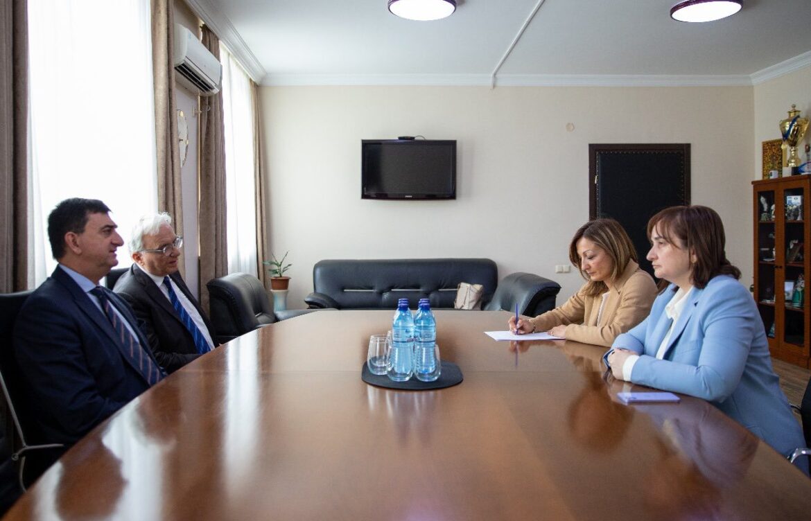 მხარეებმა თანამშრომლობის პერსპექტივებზე ისაუბრეს