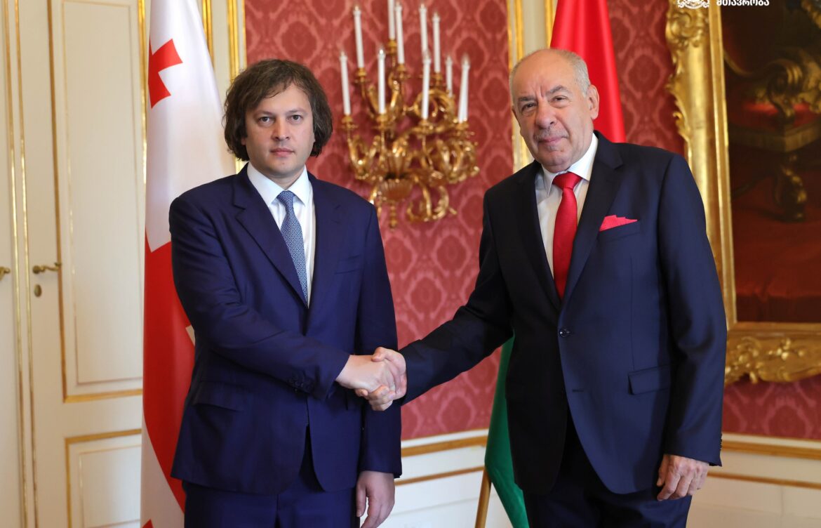 ირაკლი კობახიძე უნგრეთის პრეზიდენტს შეხვდა