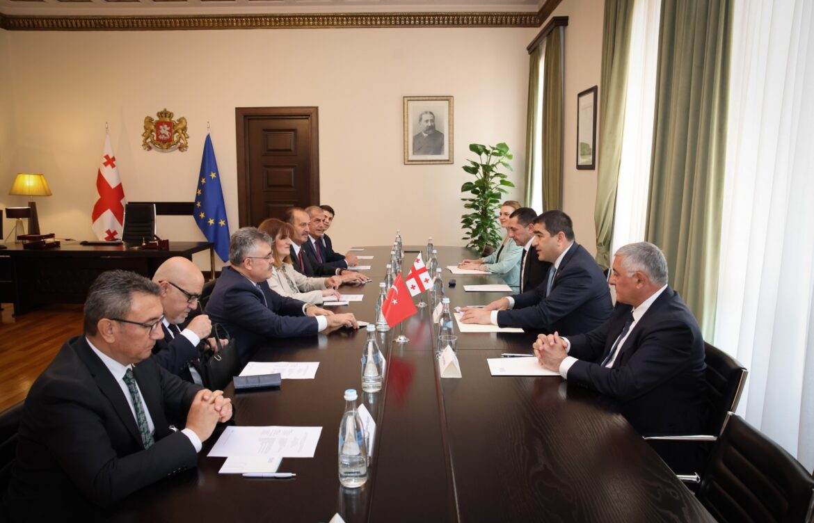შალვა პაპუაშვილი თურქეთის რესპუბლიკის დიდი ეროვნული კრების დელეგაციას შეხვდა