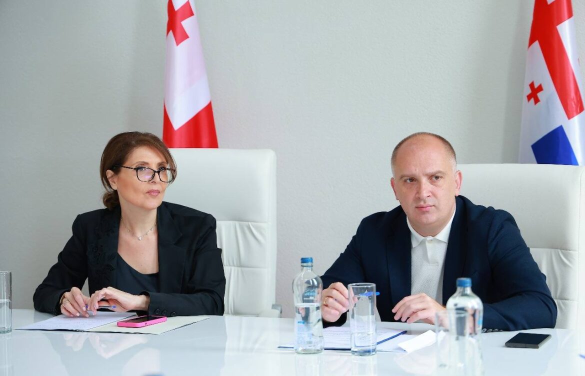 კოორდინირებული თანამშრომლობის მნიშვნელობაზე ისაუბრეს