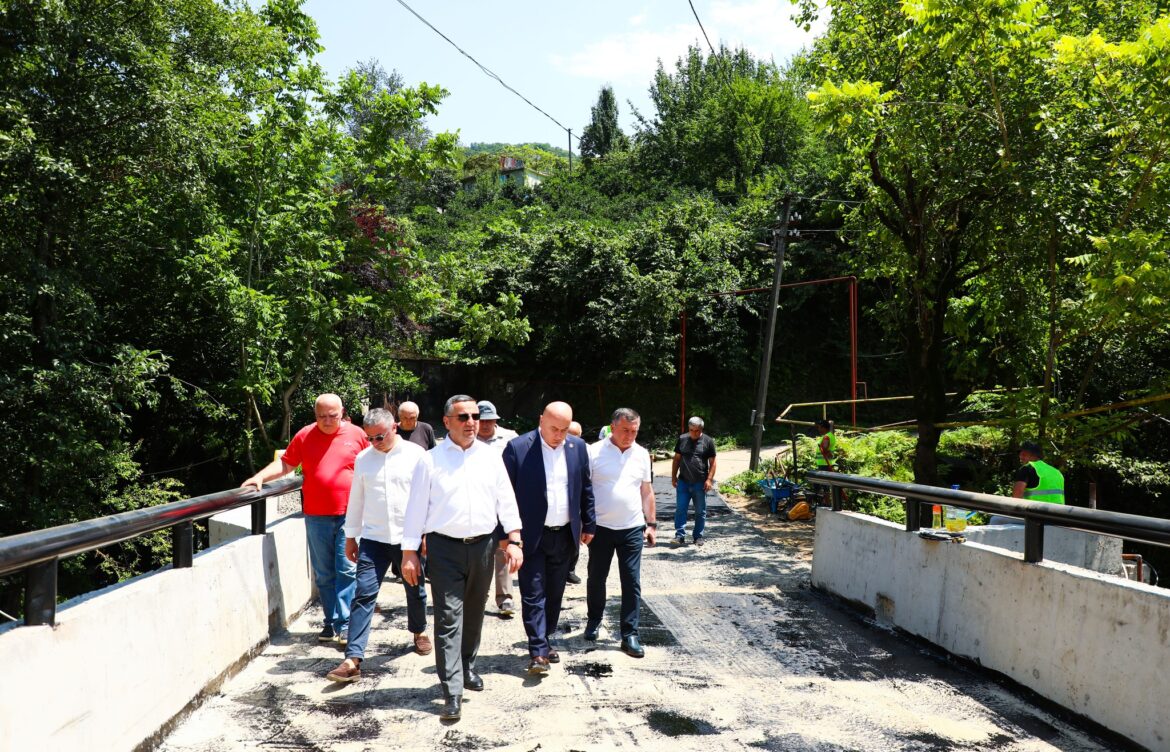 შარაბიძეებში, საავტომობილო ხიდის სამშენებლო სამუშაოები დაათვალიერეს